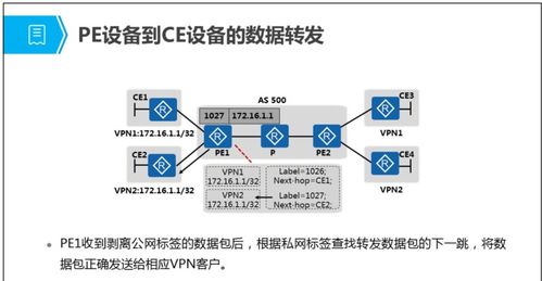 mpls 虛擬專(zhuān)用網(wǎng)絡(luò)技術(shù)原理與配置